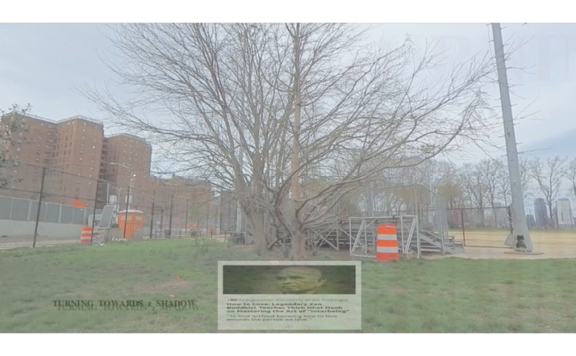 TURNING TOWARD z SHADOW: BUDDHA ON z BONG – COMPASSION – WORDS IN z WAR ON&nbsp;CONSCIOUSNESS