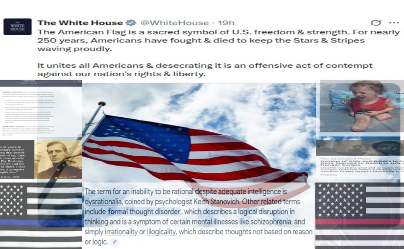 THE MISUSE OF EXECUTIVE ORDERS HAS BECOME A VISUAL SYMPTOM OF OUR COUNTRIES NEUROTIC STATE OF DENIAL:regarding THE FLAG DESECRATION&nbsp;ACT